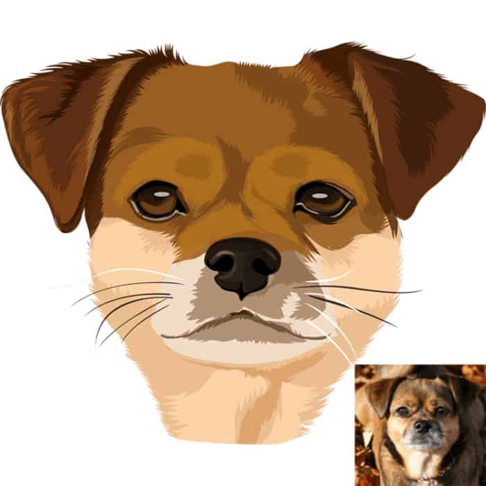 ציור תמונה לכלב-4