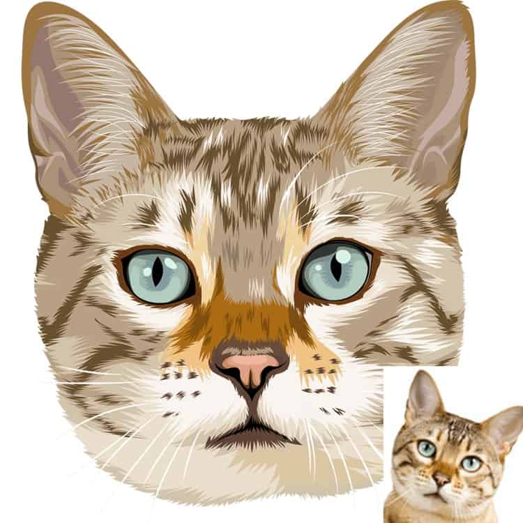 תמונה ציור של חתול-2