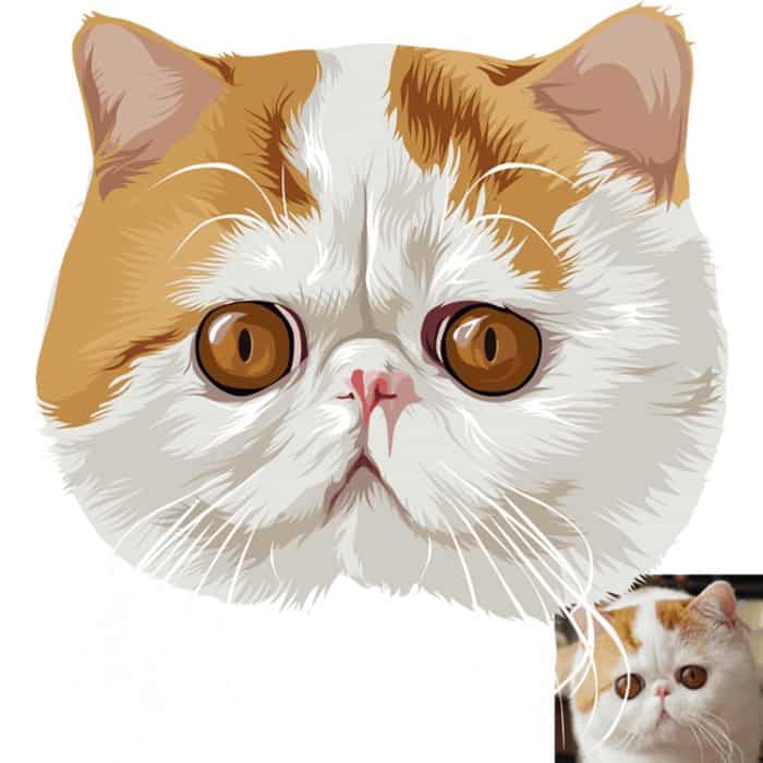 תמונה ציור של חתול-8